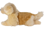 Preview: Golden Retriever - Labrador Dog lying Carl Dick Soft Toy – Plush Toy – Stuffed Animal