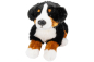 Preview: Bernese Mountain Dog lying Carl Dick Soft Toy – Plush Toy – Stuffed Animal