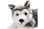 Preview: Husky Puppy lying Carl Dick Soft Toy – Plush Toy – Stuffed Animal