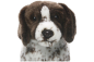 Preview: English Pointer, Jagdhund Carl Dick Plüschtiere – Kuscheltiere – Stofftiere