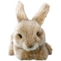 Preview: Hase sitzend Preview: Hase sitzend