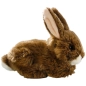 Preview: Hase sitzend Preview: Hase sitzend