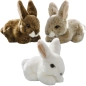 Preview: Carl Dick Plüschtier Hase sitzend Preview: Carl Dick Plüschtier Hase sitzend