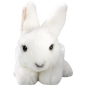 Preview: Hase sitzend Preview: Hase sitzend