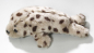 Preview: Harbor Seal Carl Dick Soft Toy – Plush Toy – Stuffed Animal