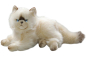 Preview: Persian Cat lying creme Carl Dick Soft Toy – Plush Toy – Stuffed Animal
