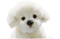 Preview: Bichon dog sitting Carl Dick Soft Toy – Plush Toy – Stuffed Animal