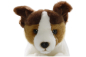 Preview: Jack Russel Terrier Floppy Carl Dick Soft Toy – Plush Toy – Stuffed Animal