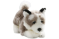 Preview: Husky Dog Floppy Carl Dick Soft Toy – Plush Toy – Stuffed Animal