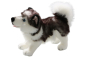 Preview: Husky Dog standing Carl Dick Soft Toy – Plush Toy – Stuffed Animal