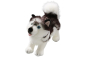 Preview: Husky Dog standing Carl Dick Soft Toy – Plush Toy – Stuffed Animal