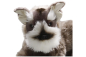 Preview: Schnauzer liegend Carl Dick Plüschtiere – Kuscheltiere – Stofftiere
