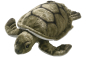 Preview: Turtle, Sea Turtle Carl Dick Soft Toy – Plush Toy – Stuffed Animal