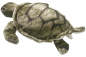 Preview: Turtle, Sea Turtle Carl Dick Soft Toy – Plush Toy – Stuffed Animal