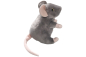 Preview: Mouse grey standing Carl Dick Soft Toy – Plush Toy – Stuffed Animal