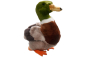 Preview: Duck, Mallard Duck Carl Dick Soft Toy – Plush Toy – Stuffed Animal