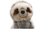 Preview: Sloth Baby Carl Dick Soft Toy – Plush Toy – Stuffed Animal