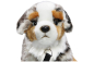 Preview: Australian Shepherd Dog sitting with Lead Carl Dick Soft Toy – Plush Toy – Stuffed Animal