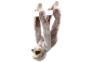 Preview: Sloth Carl Dick Soft Toy – Plush Toy – Stuffed Animal