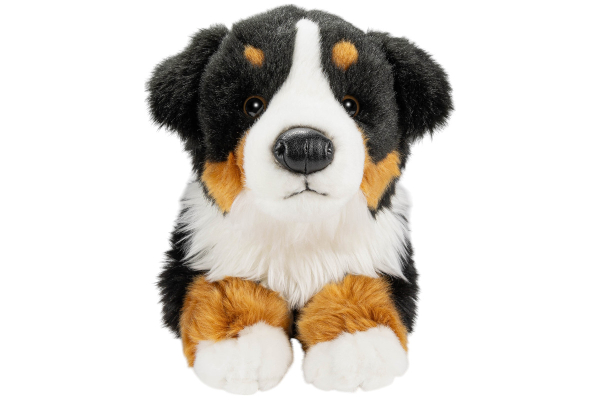 Bernese mountain dog teddy deals