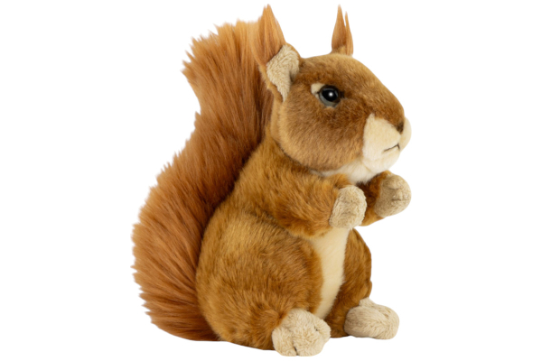 Squirrel Carl Dick Soft Toy – Plush Toy – Stuffed Animal