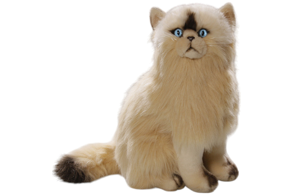 Perserkatze sitzend beige Carl Dick Plüschtiere – Kuscheltiere – Stofftiere
