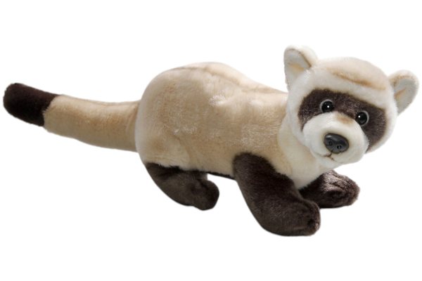 Ferret Carl Dick Soft Toy – Plush Toy – Stuffed Animal