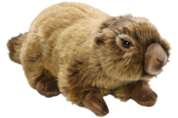 Marmot Carl Dick Soft Toy – Plush Toy – Stuffed Animal