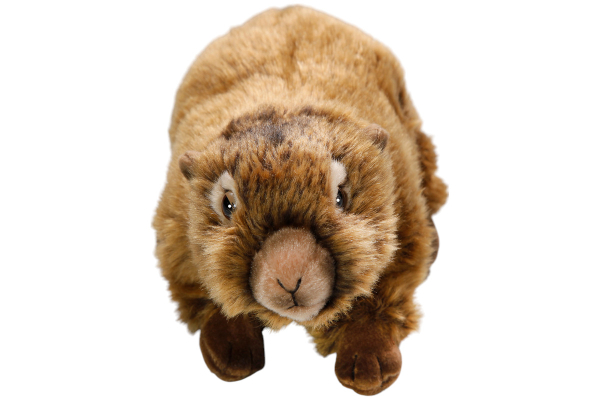 Marmot Carl Dick Soft Toy – Plush Toy – Stuffed Animal