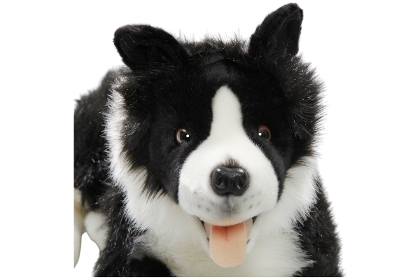 Border Collie liegend Carl Dick Plüschtiere – Kuscheltiere – Stofftiere