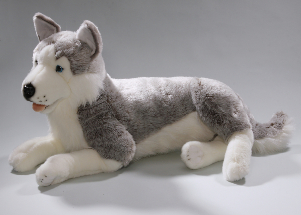 Husky liegend Carl Dick Plüschtiere – Kuscheltiere – Stofftiere