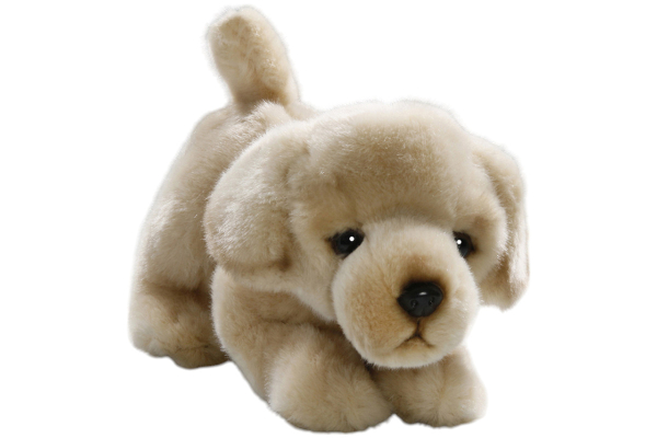 Golden Retriever Dog Floppy Carl Dick Soft Toy – Plush Toy – Stuffed Animal