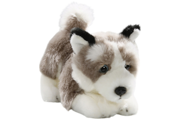 Husky Dog Floppy Carl Dick Soft Toy – Plush Toy – Stuffed Animal