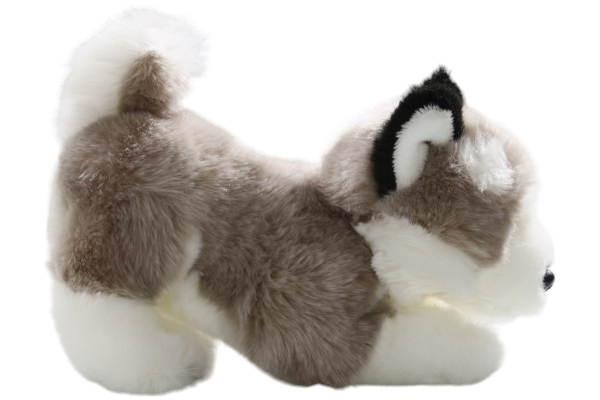 Husky Dog Floppy Carl Dick Soft Toy – Plush Toy – Stuffed Animal