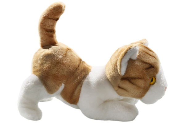 Cat lying Carl Dick Soft Toy – Plush Toy – Stuffed Animal