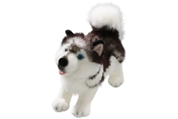 Husky Dog standing Carl Dick Soft Toy – Plush Toy – Stuffed Animal