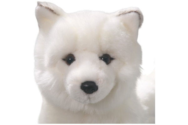 Fuchs, Polarfuchs Carl Dick Plüschtiere – Kuscheltiere – Stofftiere
