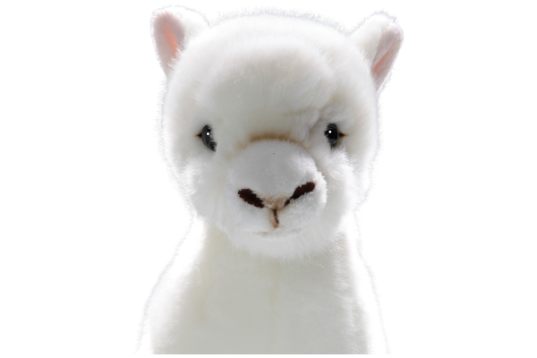 Llama standing Carl Dick Soft Toy – Plush Toy – Stuffed Animal