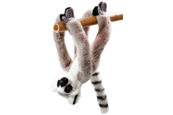 Katta, Lemur Carl Dick Soft Toy – Plush Toy – Stuffed Animal