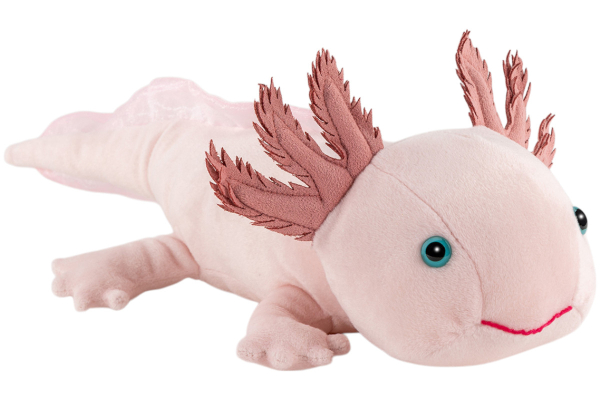 Axolotl Carl Dick Soft Toy – Plush Toy – Stuffed Animal