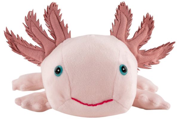 Axolotl Carl Dick Soft Toy – Plush Toy – Stuffed Animal