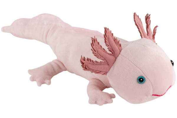 Axolotl Carl Dick Soft Toy – Plush Toy – Stuffed Animal