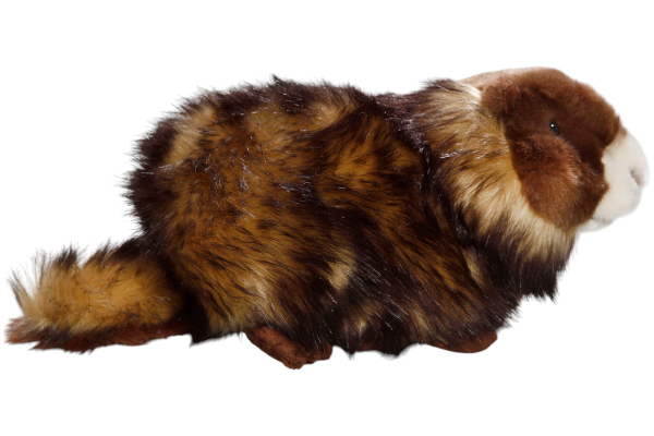Marmot Carl Dick Soft Toy – Plush Toy – Stuffed Animal