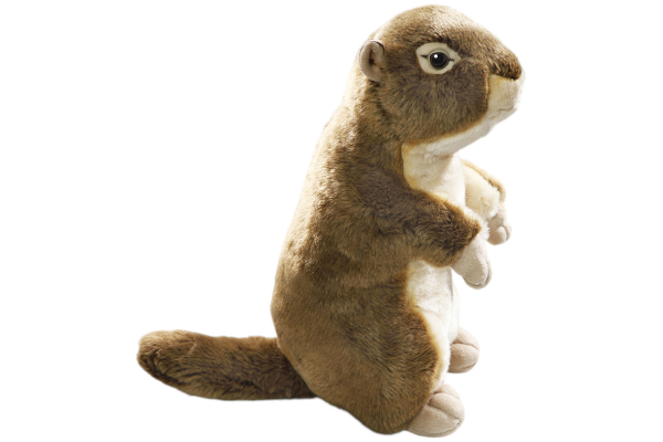 Ground Squirrel big Carl Dick Soft Toy – Plush Toy – Stuffed Animal