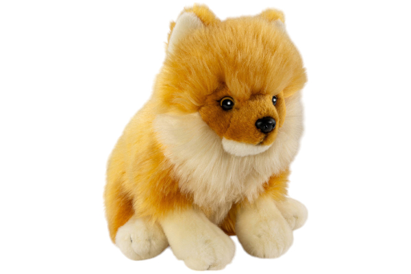 Pomeranian Dog sitting Carl Dick Soft Toy – Plush Toy – Stuffed Animal