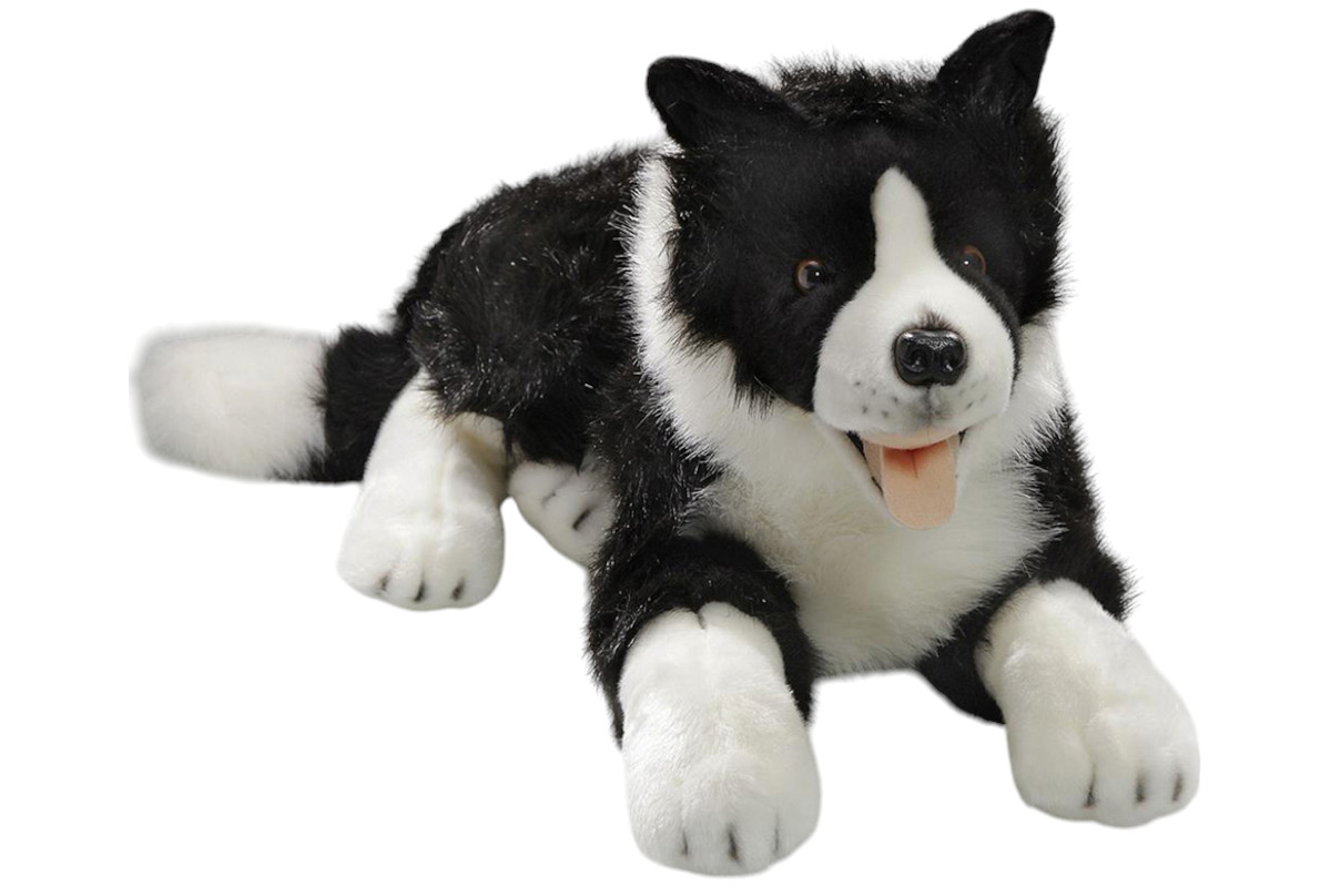 Carl Dick Australian Shepherd Dog Lying 17 inches, 45cm, Plush Toy, Soft  Toy, Stuffed Animal 3434