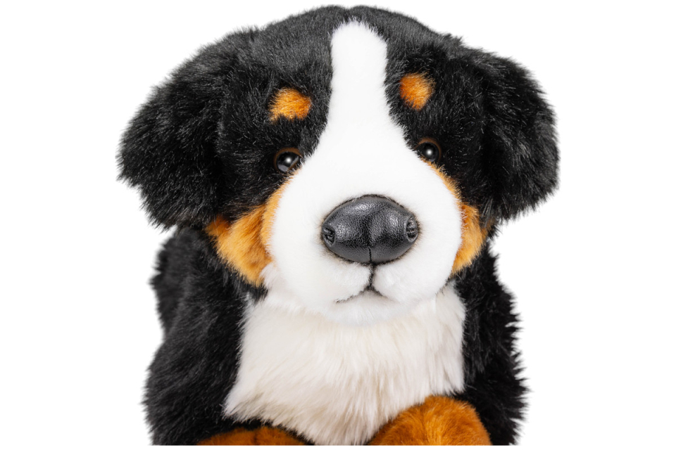 Bernese Mountain Dog lying Carl Dick Soft Toy – Plush Toy – Stuffed Animal