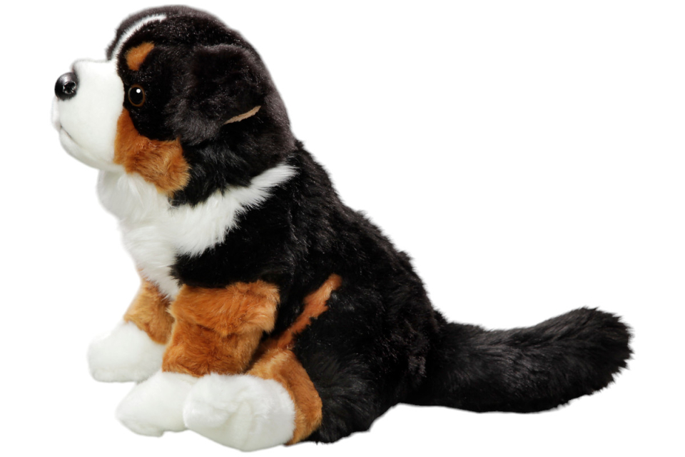Bernese Mountain Dog sitting Carl Dick Soft Toy – Plush Toy – Stuffed Animal