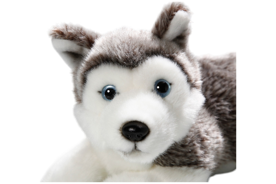 Husky Puppy lying Carl Dick Soft Toy – Plush Toy – Stuffed Animal