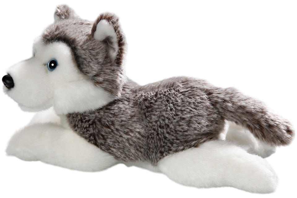 Husky Puppy lying Carl Dick Soft Toy – Plush Toy – Stuffed Animal